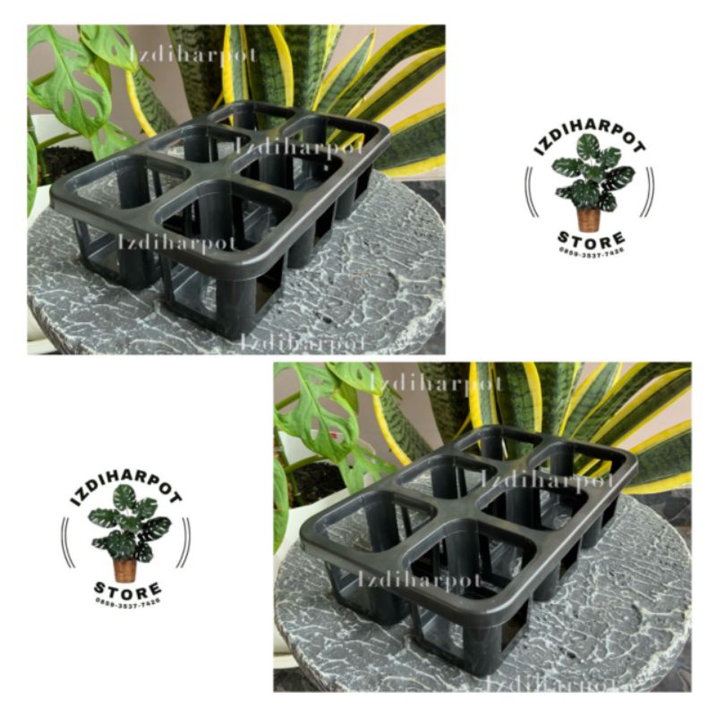 Tray pot nkt kotak 7CM (tanpa pot) | nkt kotak 7CM | tray semai bibit