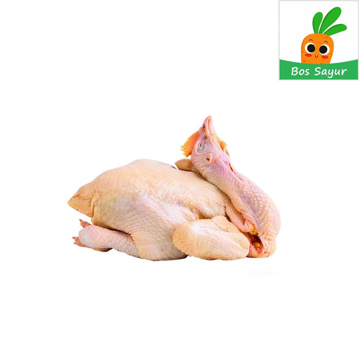 

Ayam Kampung Per Ekor - Bos Sayur