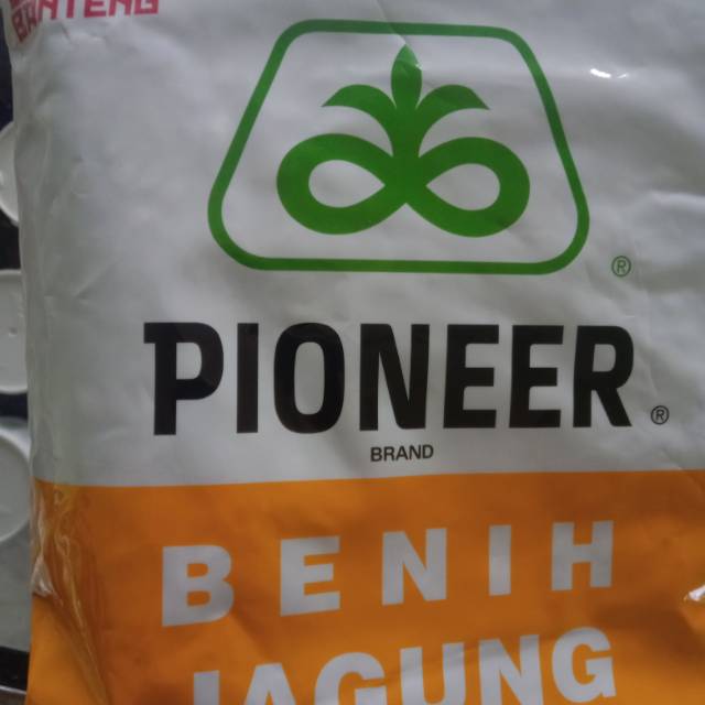 Benih jagung Hibrida Pioneer P35