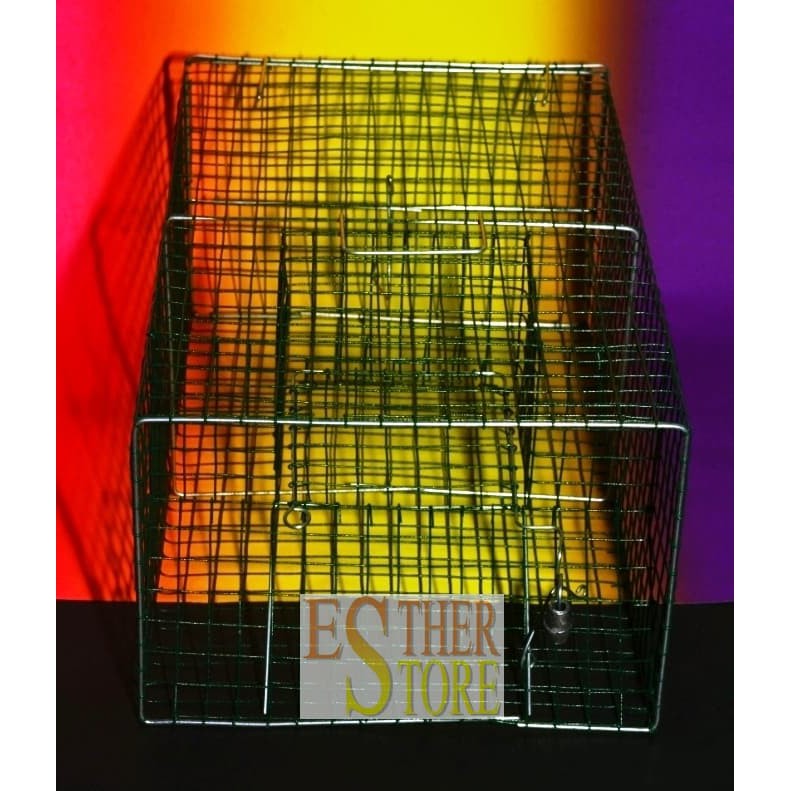 Perangkap Tikus Massal