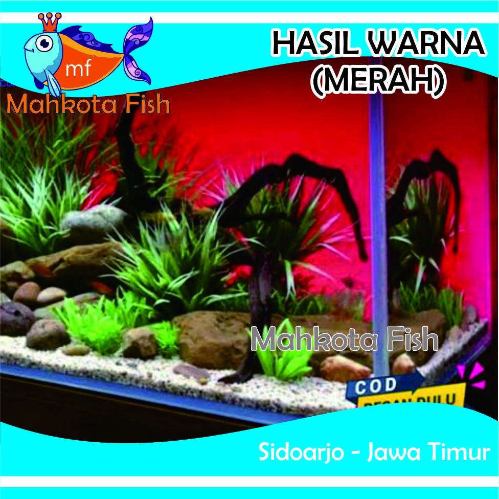 Background Aquarium MURAH (DOFF / MATE = Tidak Mengkilap) | Background Aquascape GRATIS PACKING KARDUS