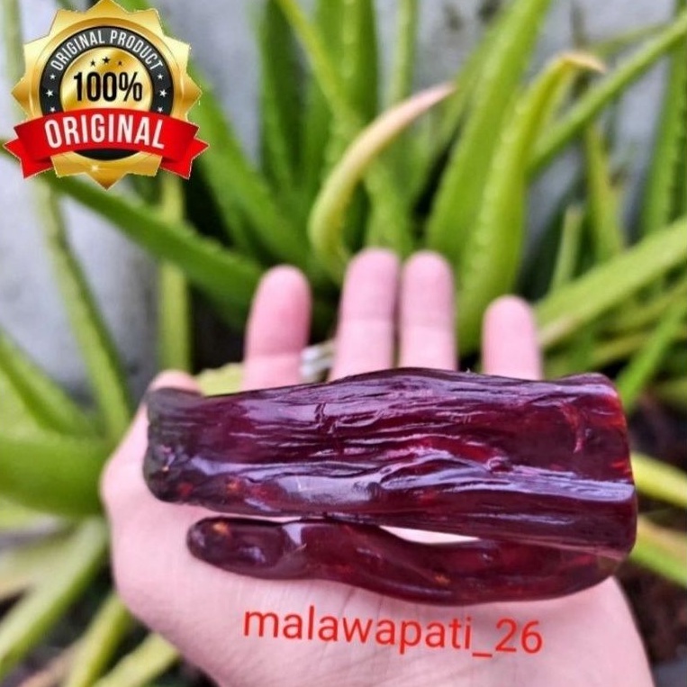 GELANG AKAR BAHAR ASLI MERAH KRISTAL TEMBUS CAHAYA / GELANG KESEHATAN / GELANG AKAR BAHAR ASLI / GEL