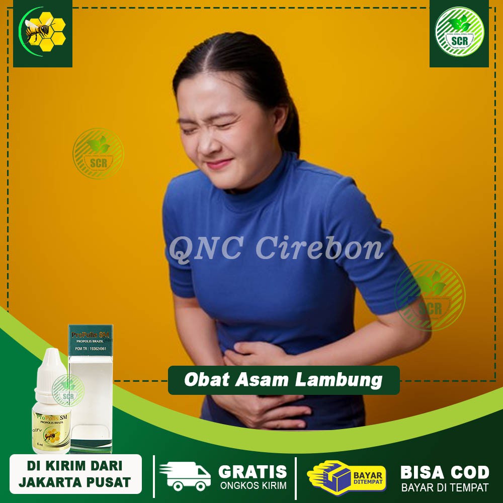 Jual Propolis Sm Original Obat Propolis Brazil Sm Cocok Untuk Obat