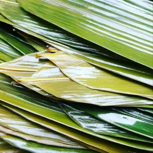 

terbaru Daum bambu jumbo segar per lembar/helai untuk bungkus bakcang bacang siap petik segar