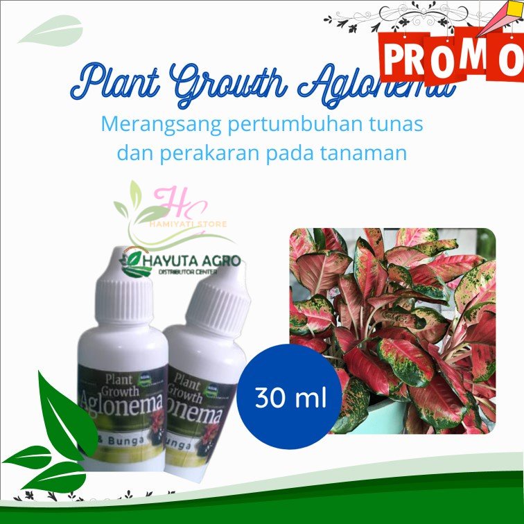 HORMON AGLONEMA FORMULA PLUS RIMBUN AKAR DAN TUNAS, BISA COD Hormon Penumbuh Tunas Aglonema Aglaonem