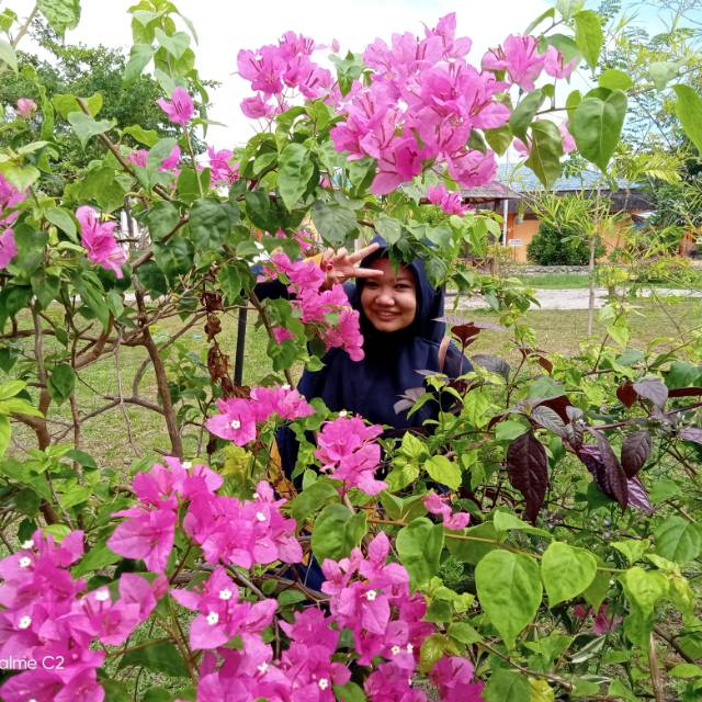 aulua_aulia