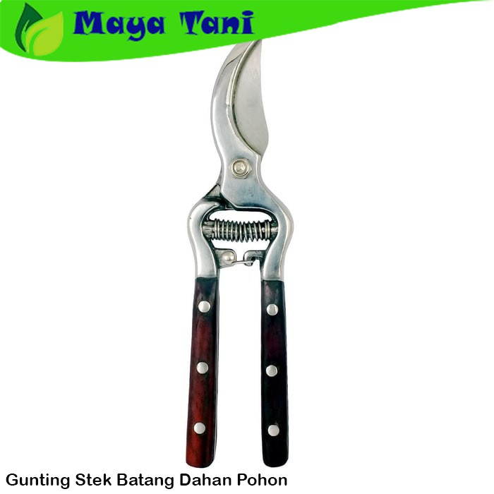 Gunting Tanaman Gunting Stek Batang Dahan Pohon PROHEX - Pruning