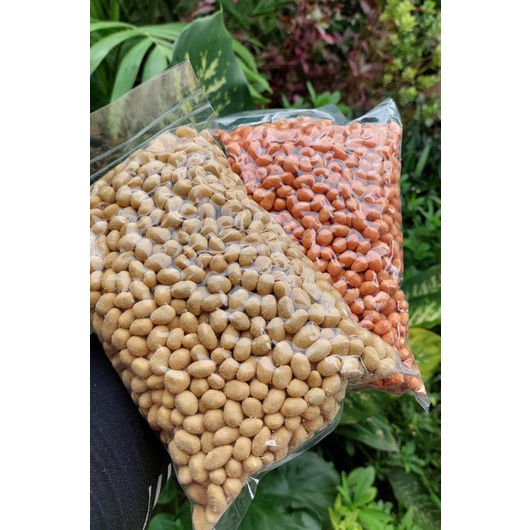 

Kacang Mayasi