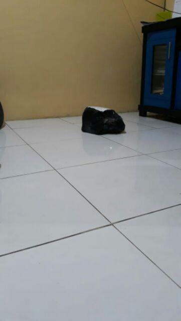 Hose Clamp 5/8 Inch / Klem Selang 5/8 Inch / Klem Stainless