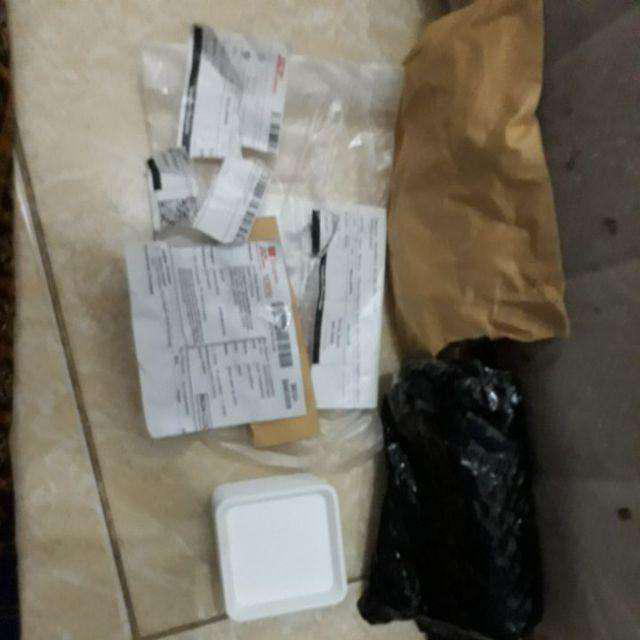 100pills Repack, Benih Selada Rex Rz Butterhead Lettuce, Rijk Zwaan