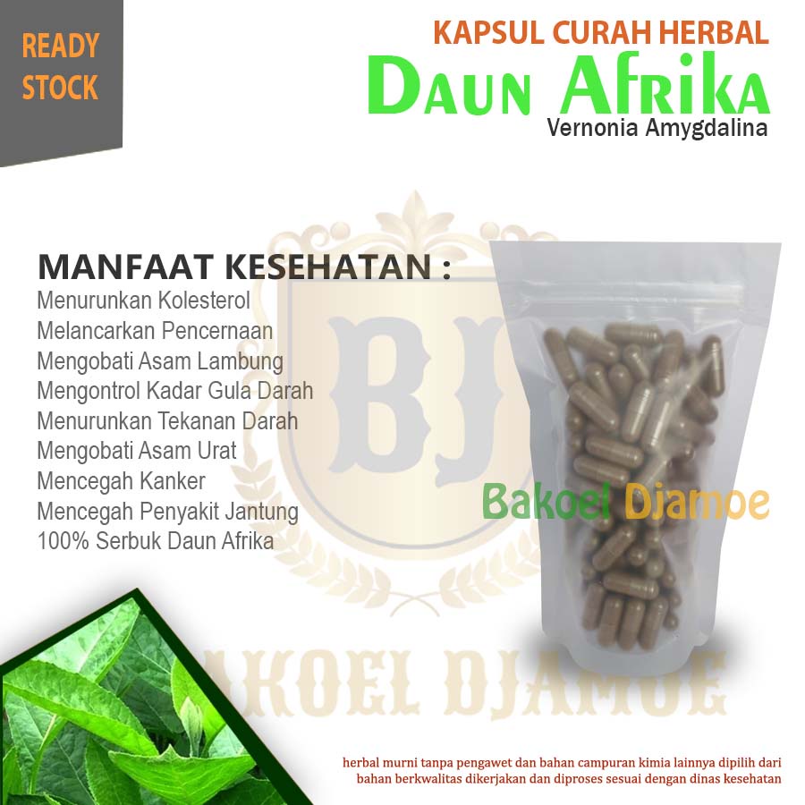 

Kapsul curah herbal daun afrika kapsul herbal kolesterol pencernaan asam lambung bisa cod
