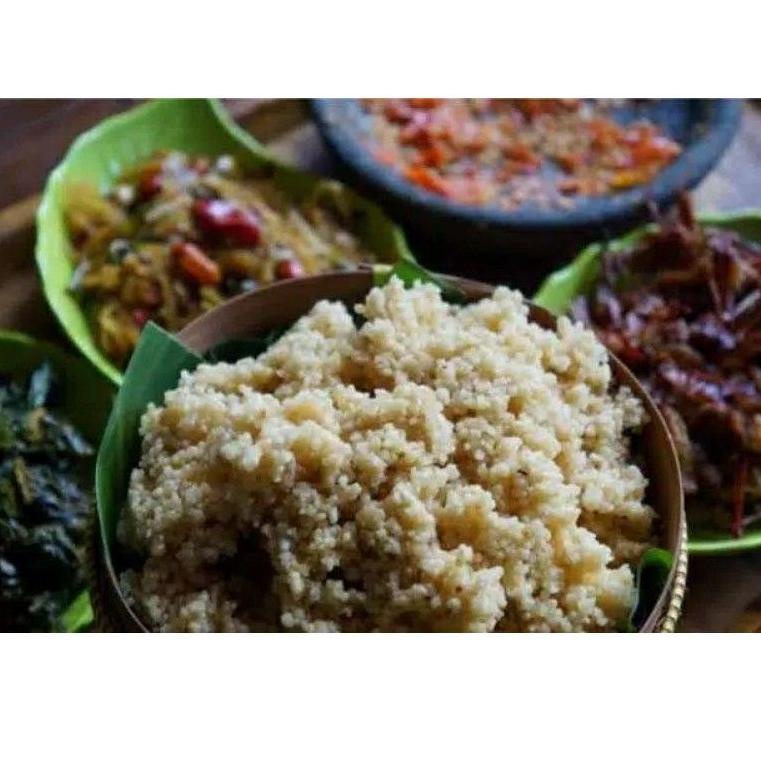 

Terbaru➞ PN8HL [ 1 KG ] OYEK SINGKONG ASLI / OYEK TIWUL / MAKANAN PENGGANTI NASI 45 Hot Sale