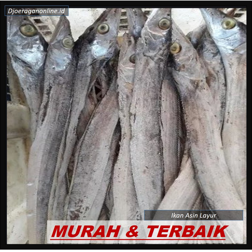 

IKAN ASIN LAYUR 100 GR / LAYUR ASIN / IKAN ASIN SUPER / IKAN ASIN MURAH ASLI NELAYAN