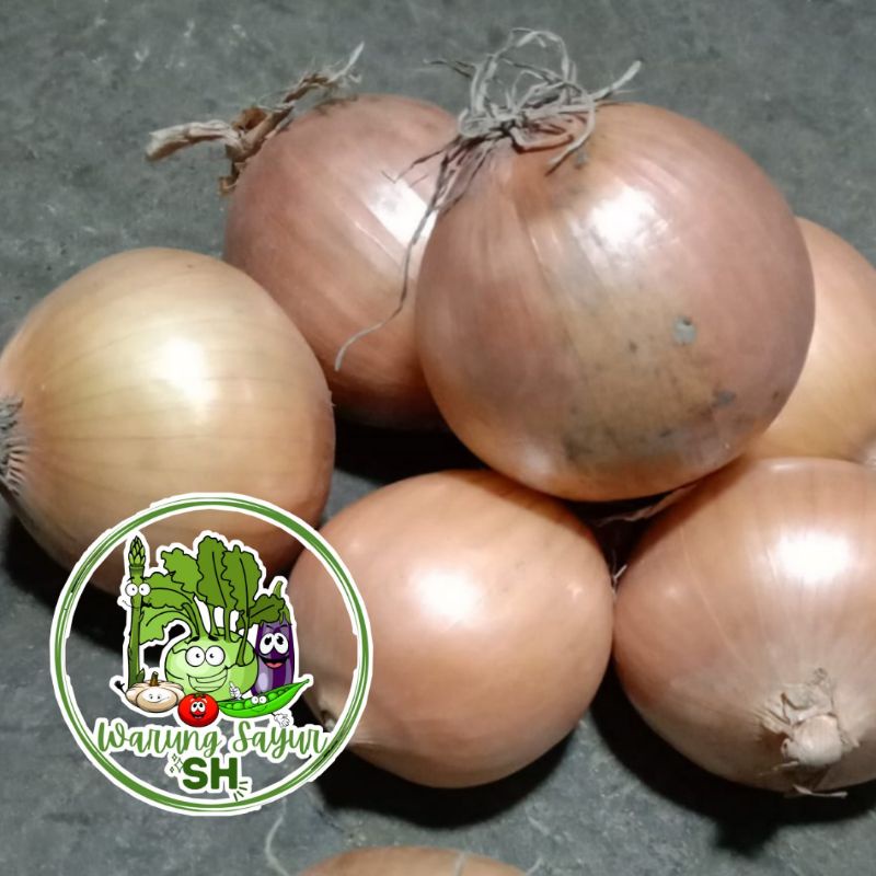 

BAWANG BOMBAI 500 GRAM | BAWANG BOMBAI | FRESH VAGETABLE