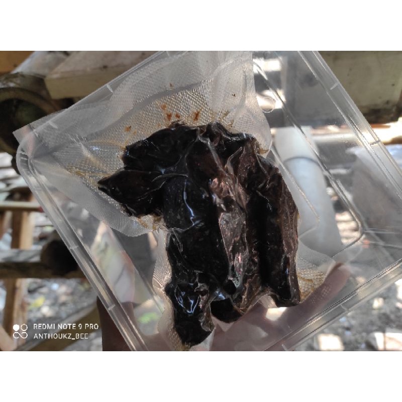 

Propolis/perasan Trigona (klanceng- kele kele - teawul)