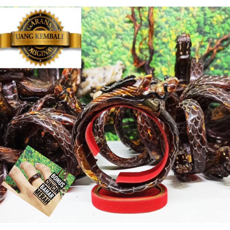 GELANG AKAR BAHAR MERAH SUPER JUMBO UKIR NAGA