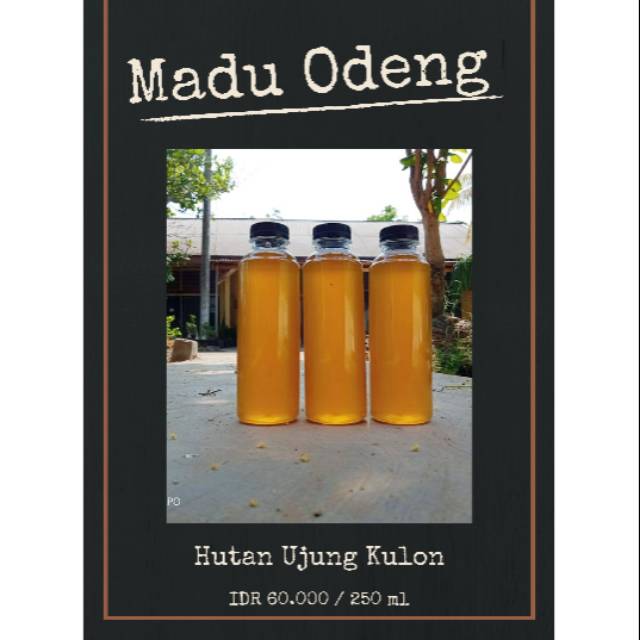 

Madu odeng ujung kulon