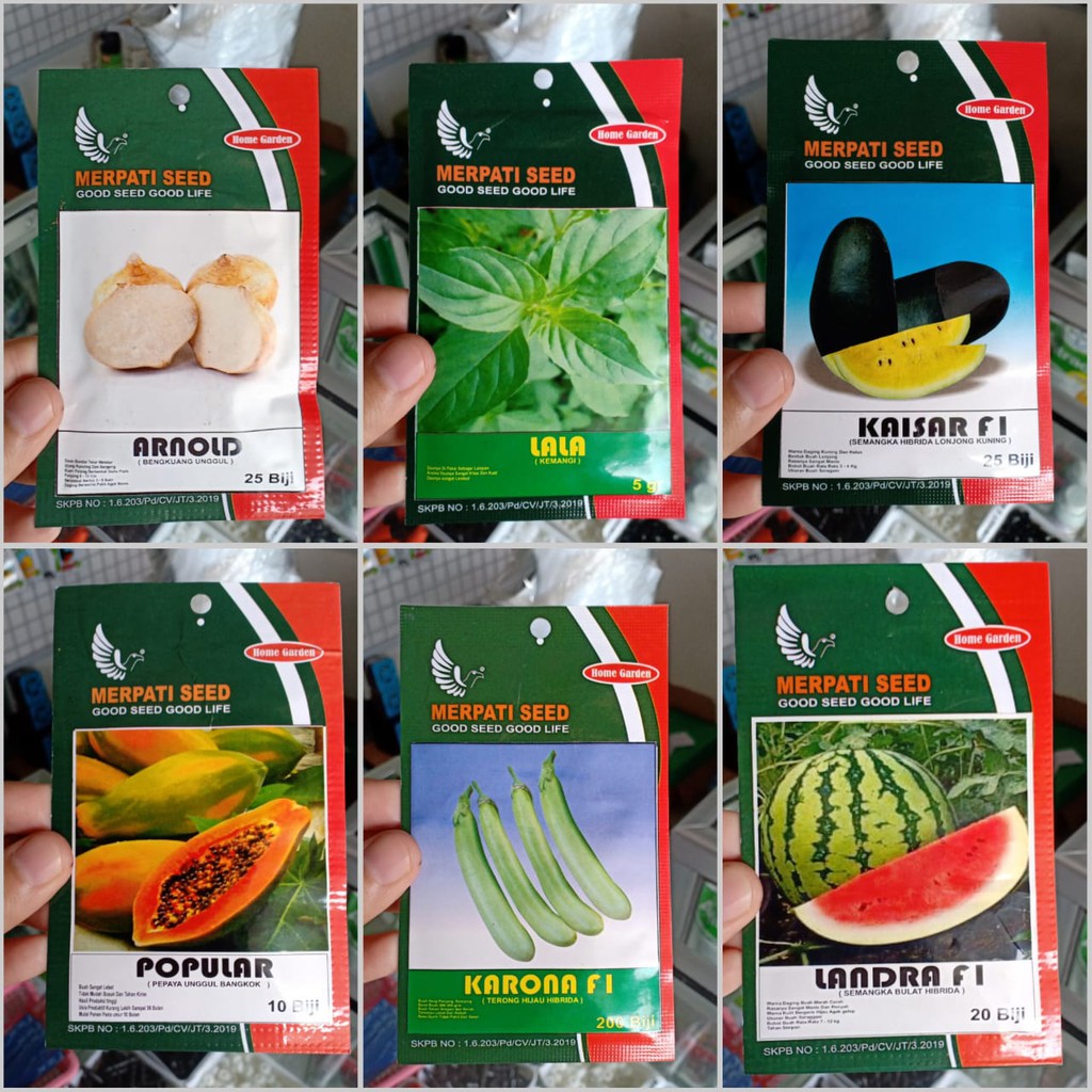 oyong, semangka, terong, kemangi, labu, selada, cabai pelangi, pepaya, kecipir, wortel -merpati seed