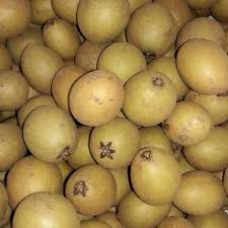 

Buah sawo madu segarr 1 kg