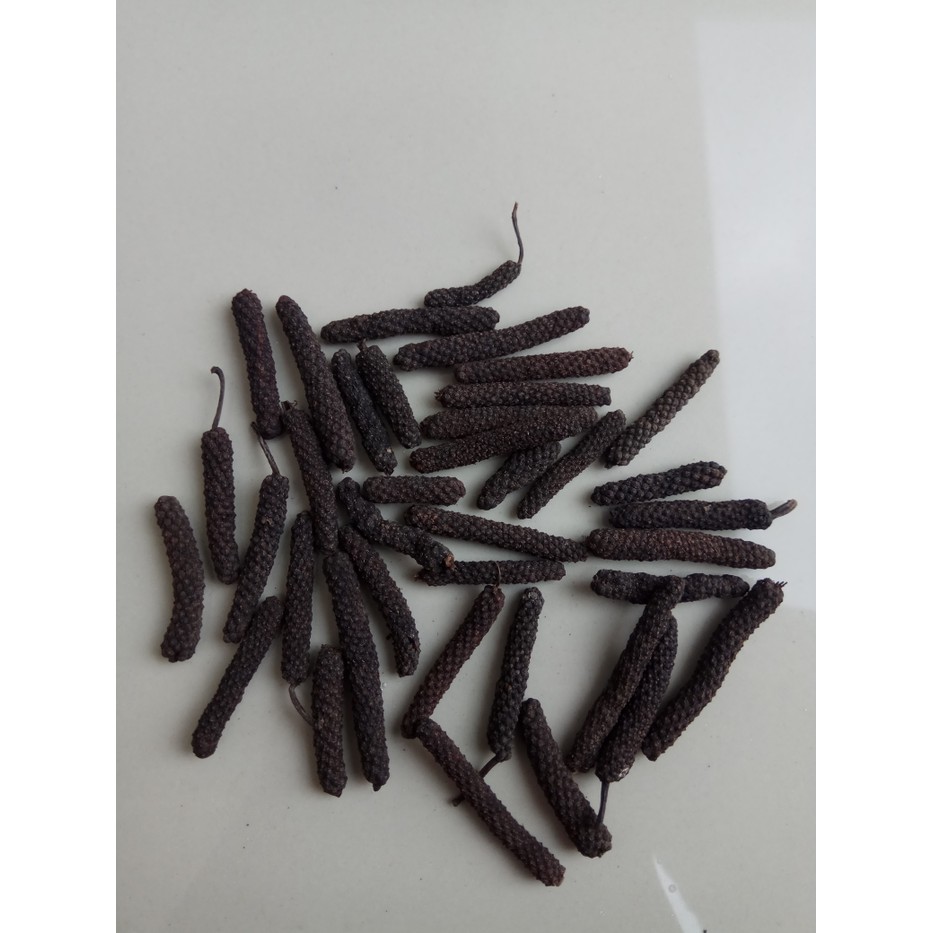 

Cabe Jamu / Cabe Jawa / Cabe Puyang / Long Pepper Murah - ju1102