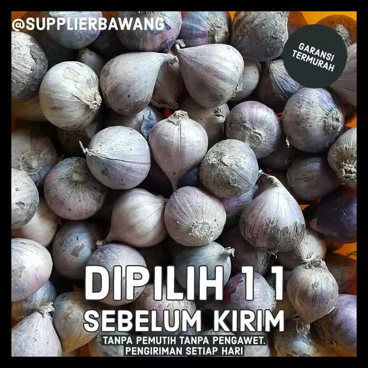 

BIG SALE! Bawang putih tunggal 1kg