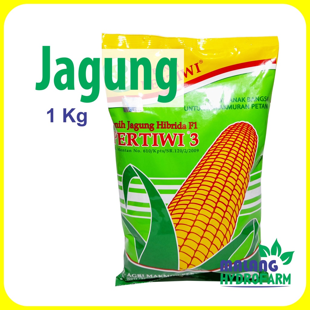 Benih Jagung Pertiwi 3 1 Kg Unggul Bibit Biji Hidroponik Hydroponik Pakan Pipil Bisi 18 Hibrida