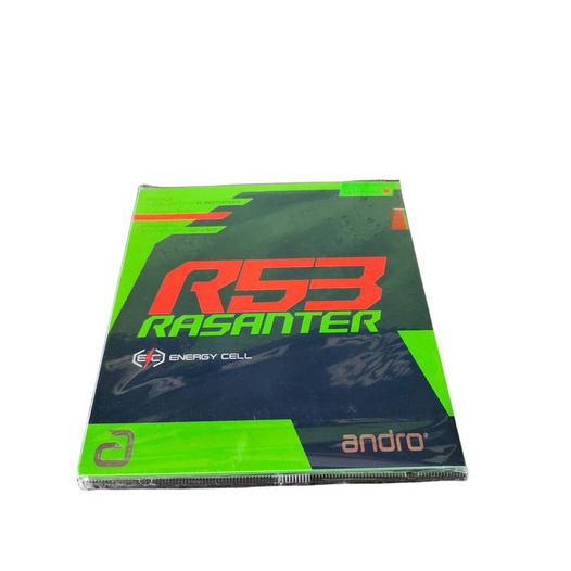 Andro Rasanter R53