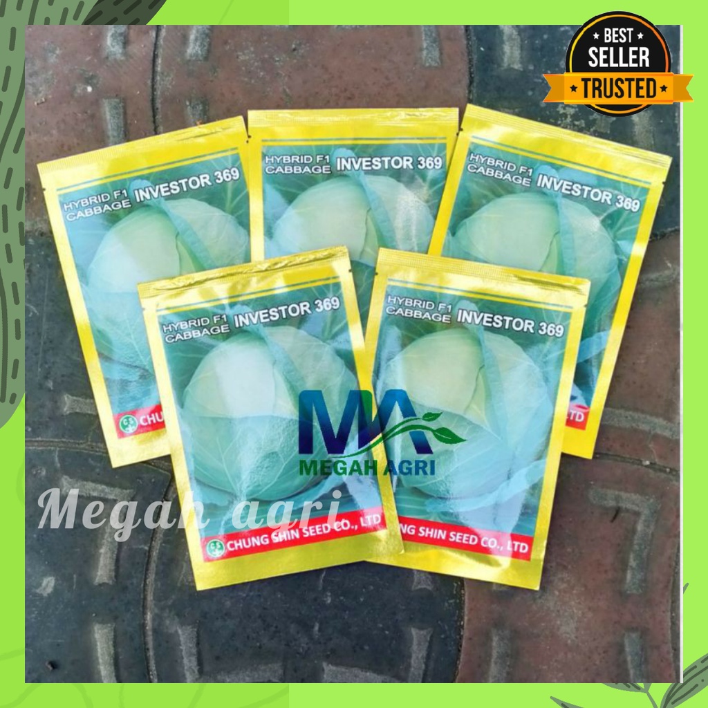 BENIH KUBIS INVESTOR 25GR