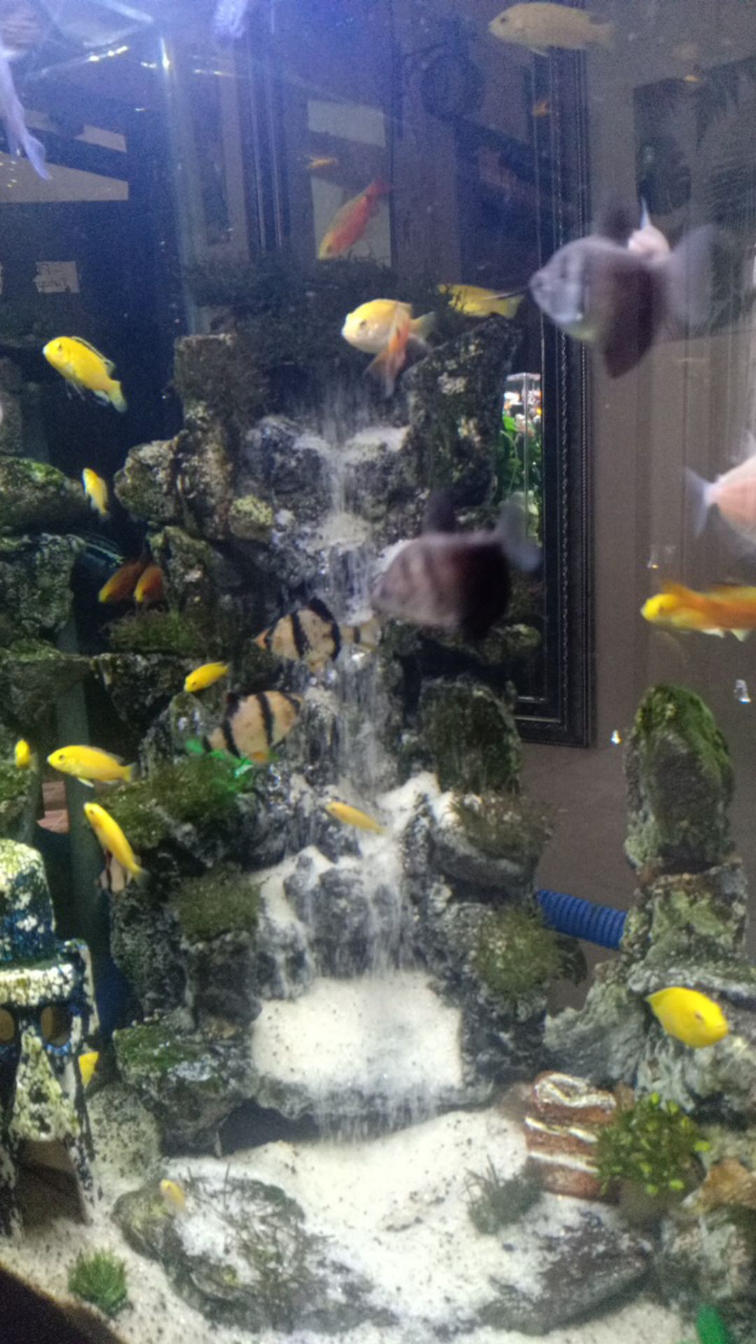 Sendok Makan Panjang Putih Susu - Sendok Plastik Putih Susu 25 Batang