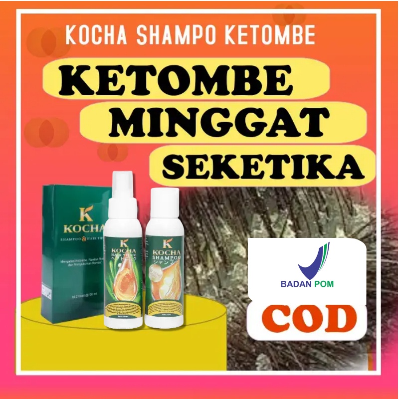 Jual Shampoo Anti Ketombe Dan Rambut Rontok 250ml Kocha Shampoo Anti Ketombe Dan Anti Dandruff 0752