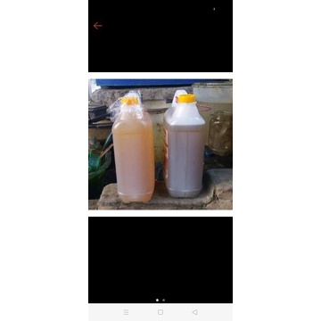 minyak cengkeh murni 500 &amp;1000 ml