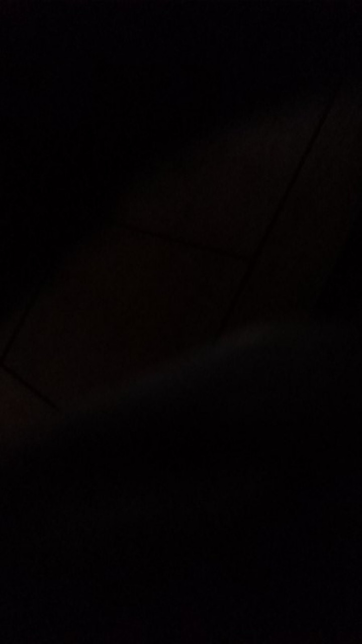 Pengasah Pisau Instan Long Handle Portable Dapur Buah Daging Batu