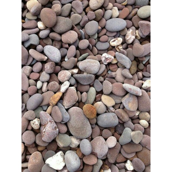 Batu Hias Tanaman Pancawarna