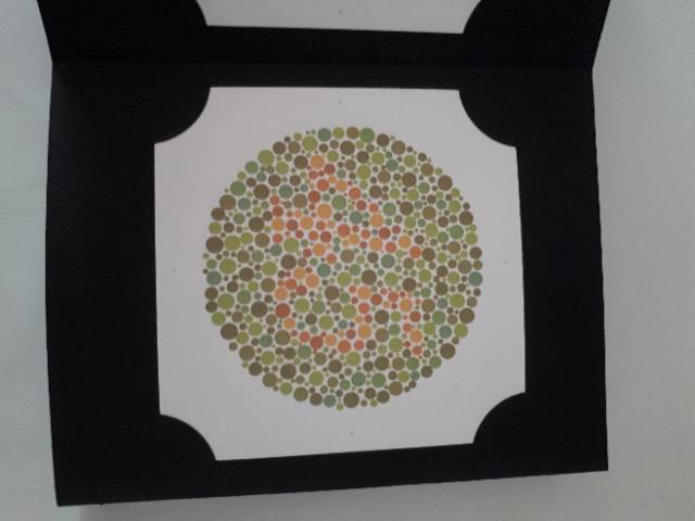 Buku Tes Buta Warna Ishihara Test Isihara 38 Plates Shopee Indonesia