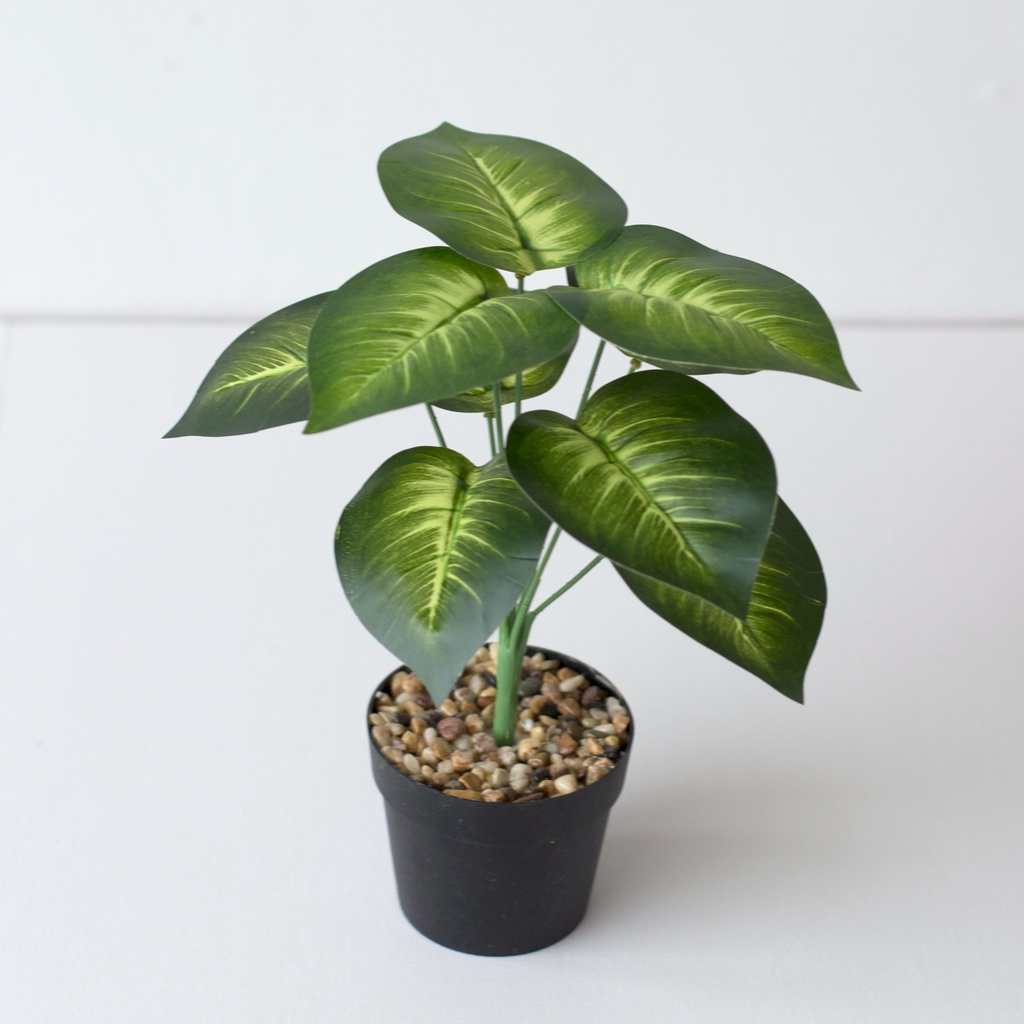 COD Tanaman Daun Plastik Artificial Flower Grey Potted Type White Heart