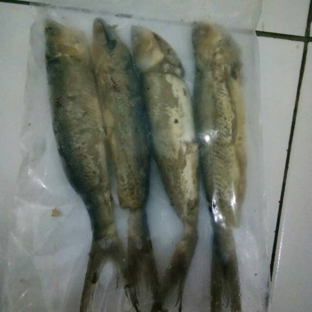 

Bandeng Gepuk Tanpa Duri