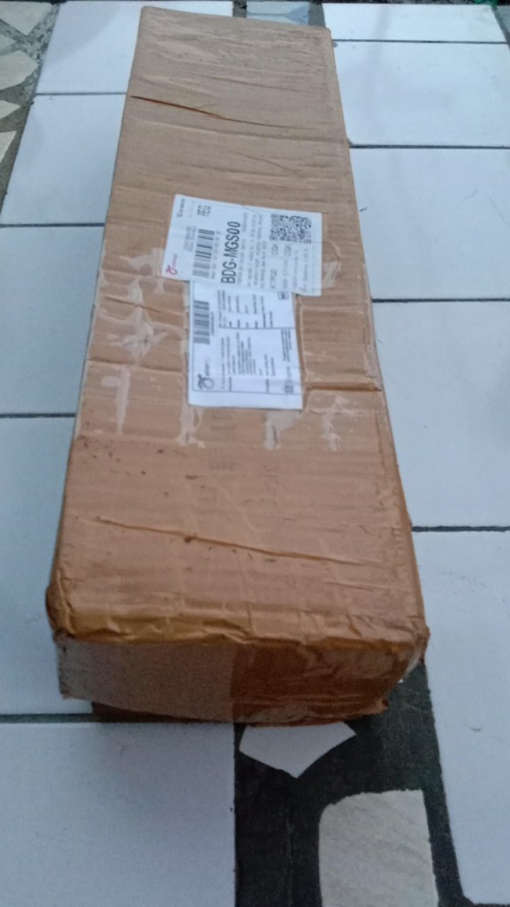 Tanaman Hias Bromelia Varigata - Pohon Bromel Varigata