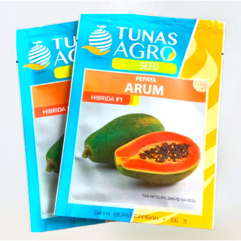 Benih Pepaya Hawai Madu ARUM F1 Tunas Agro Seed