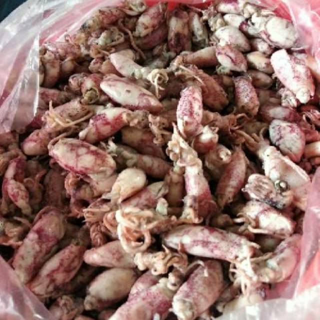 

Baby cumi ukuran max 2cm - 4cm 250gram