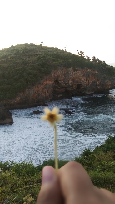 Elemen/element/kawat Press/press Plastik Impulse Sealer 20cm/ 20 Cm