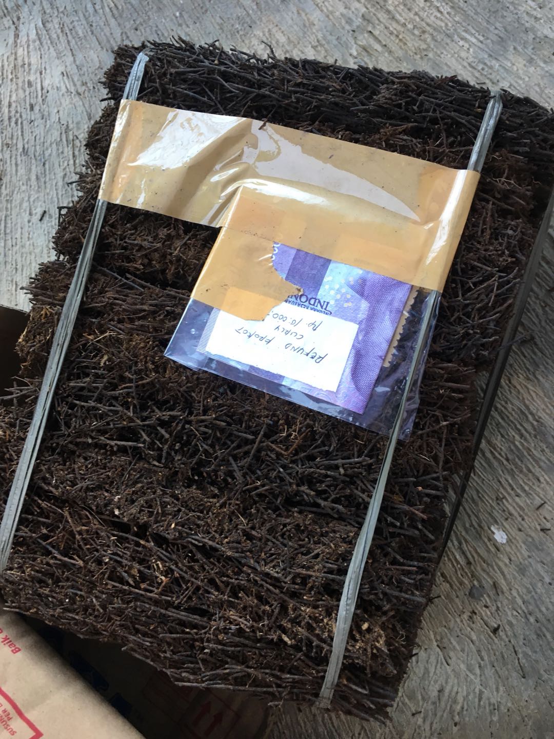 Akar Pakis Media Tanam Akar Pakis Media Tanam Anggrek Pakis Tempel Media Tanam