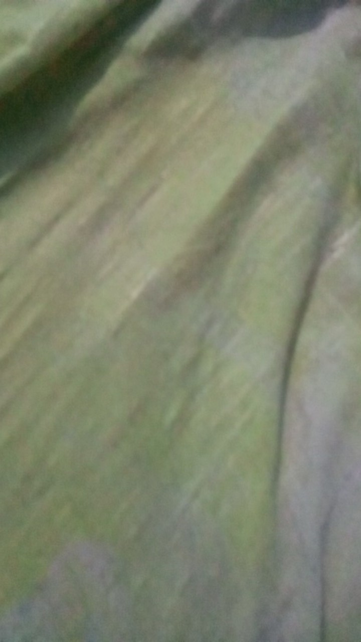 Nivana Batik Dress Anak Cewek Perempuan 1 - 7 Tahun