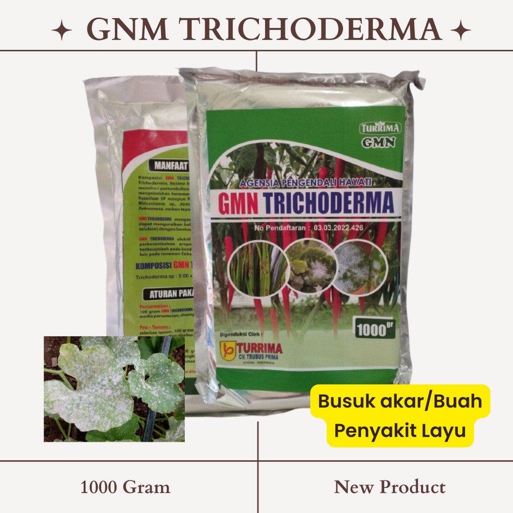 pupuk untuk tanaman layu pupuk busuk akar cabai pupuk anti busuk buah pupuk untuk busuk daun Pupuk GNM Trichoderma 1000 Gram obat busuk batang cabe  obat busuk buah cabe