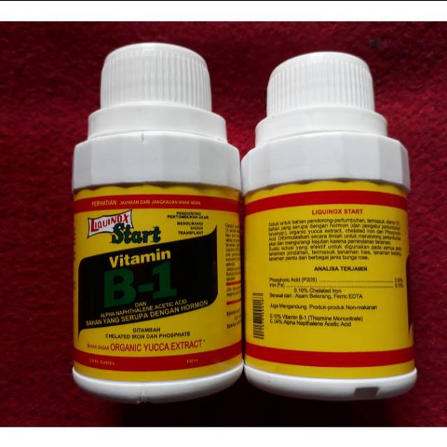 Vitamin B-1 untuk anggrek kesayangan