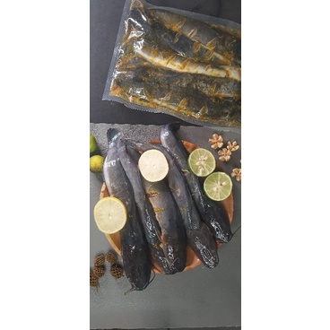 

Lele siap Goreng sudah di bumbui isi 5