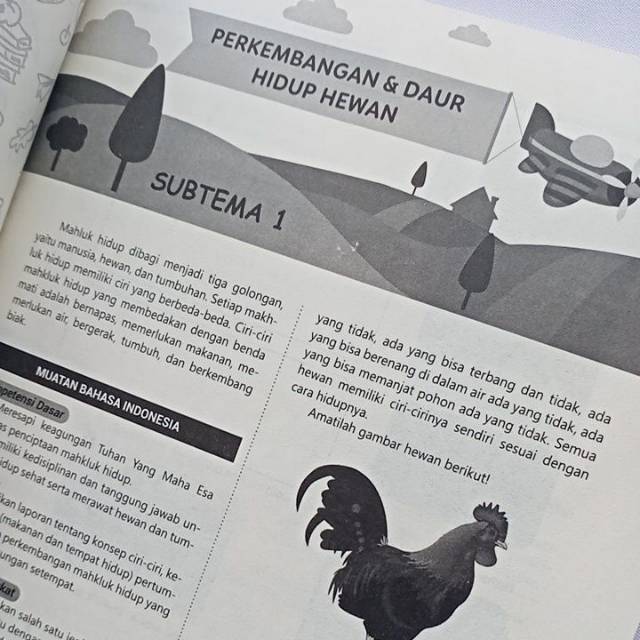 Amatilah Gambar Hewan Hewan Peliharaan Berikut