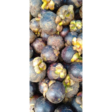 

Manggis Buah minim order 2 kg@ kilogram