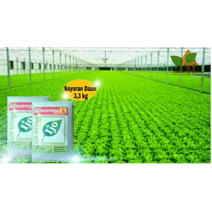 Nutrisi AB Mix 3-3 Kg IJO Sayuran Daun/ Pupuk / Hidroponik