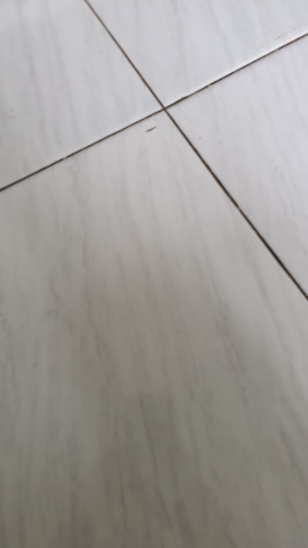 Toto Tx443spn Single Lever Shower Mixer / Keran Shower Mixer