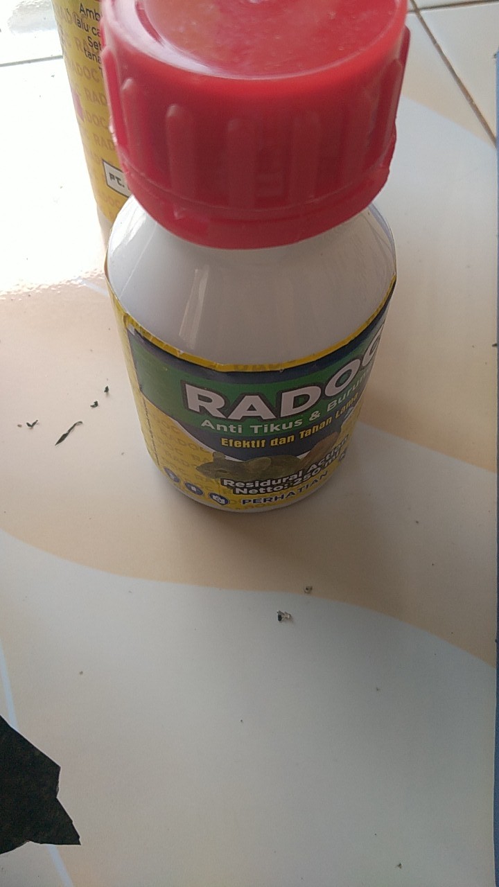 Radoc 250 Ml Asli
